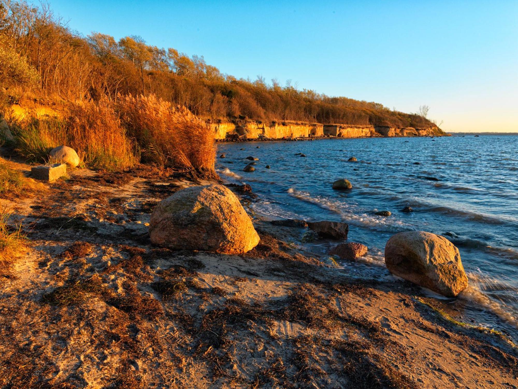 Daenische Ferienhaeuser Am Salzhaff Haus Pacific Villa Insula Poel Exterior foto