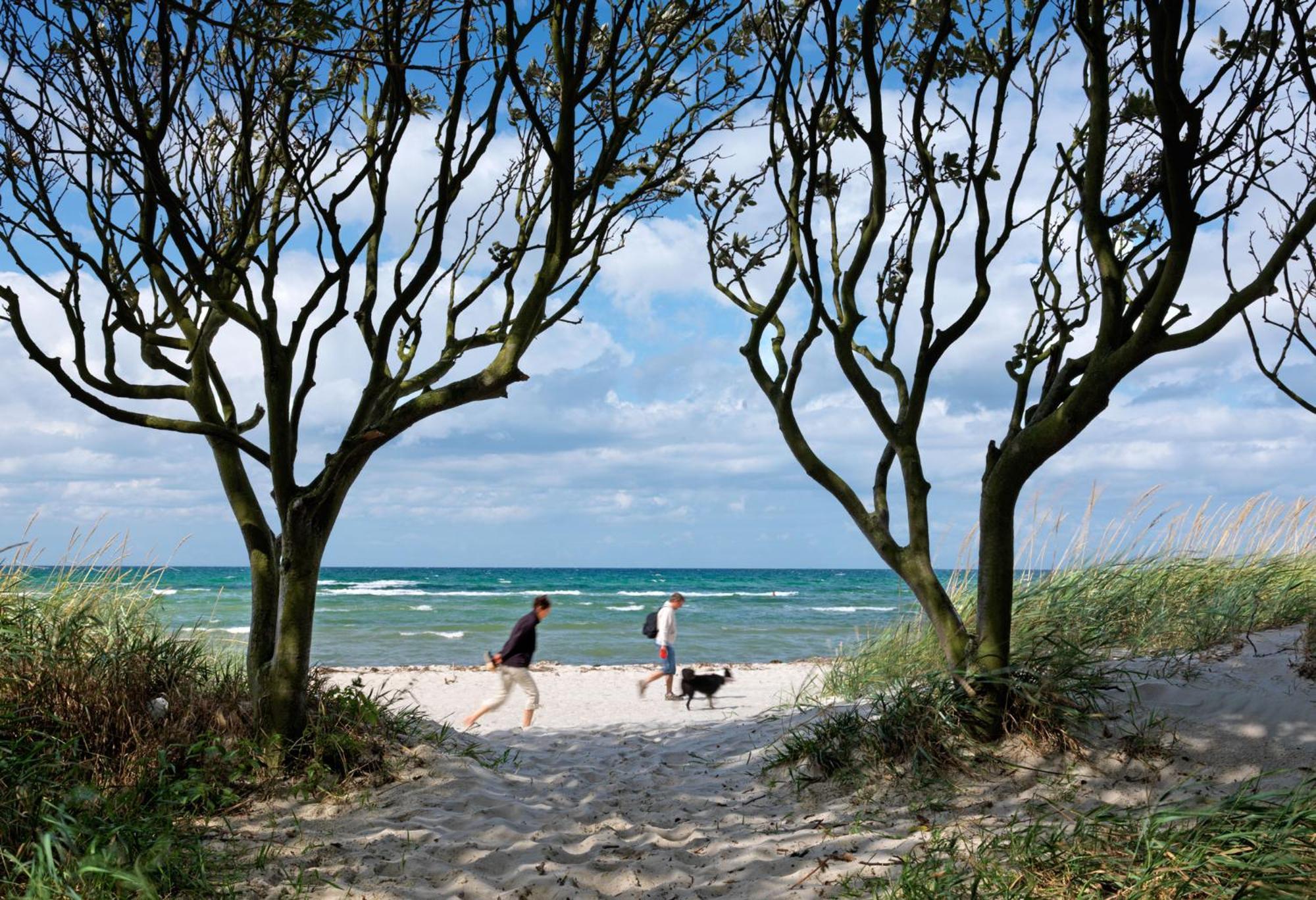 Daenische Ferienhaeuser Am Salzhaff Haus Pacific Villa Insula Poel Exterior foto